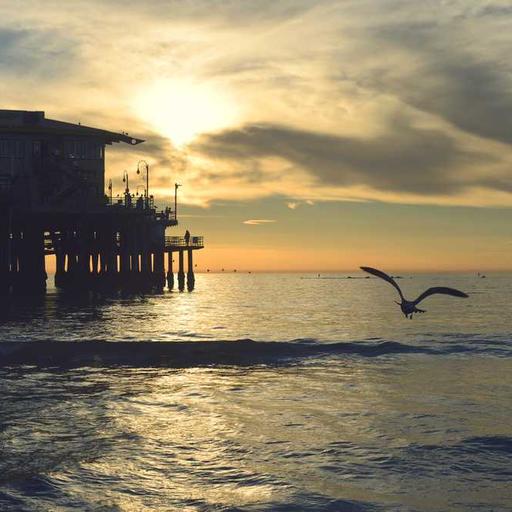 Informasi dan Komunikasi sebagai Penggerak Perubahan Sosial