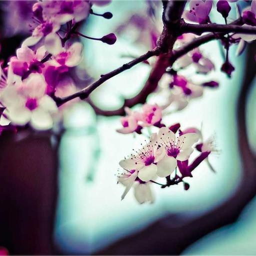 Nilai Kehidupan yang Tersimpan di Balik Kegagalan