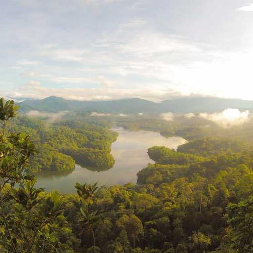 Peran UMKM dalam Mendorong Perekonomian Nasional