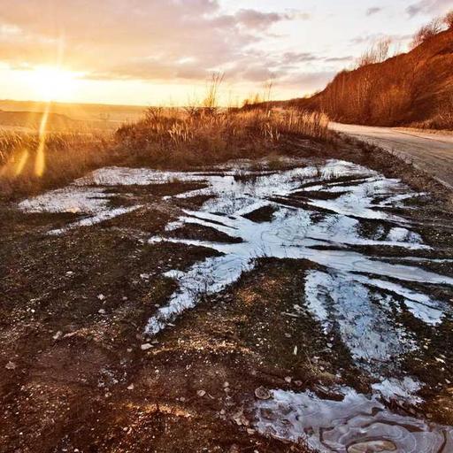 Puisi Sebagai Media Refleksi Diri dan Keindahan Bahasa