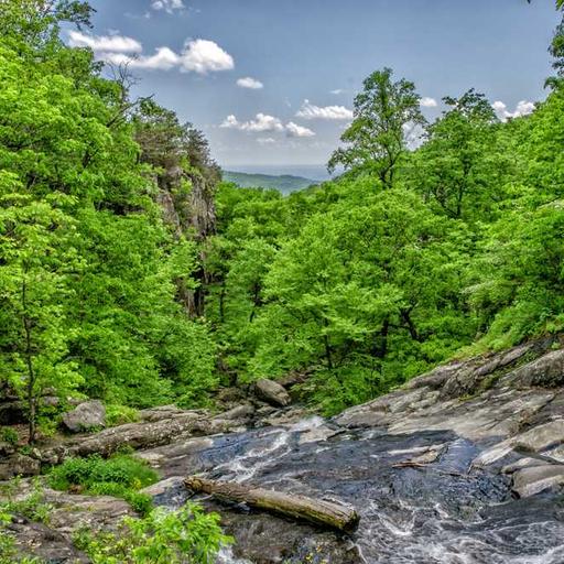 Tips Berolahraga Ringan untuk Tubuh Tetap Bugar